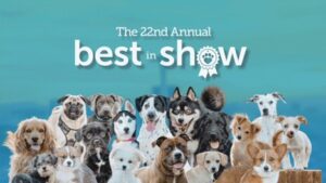 Group of various dog breeds posing together in front of a blue background with text that reads "The 22nd Annual best in show.